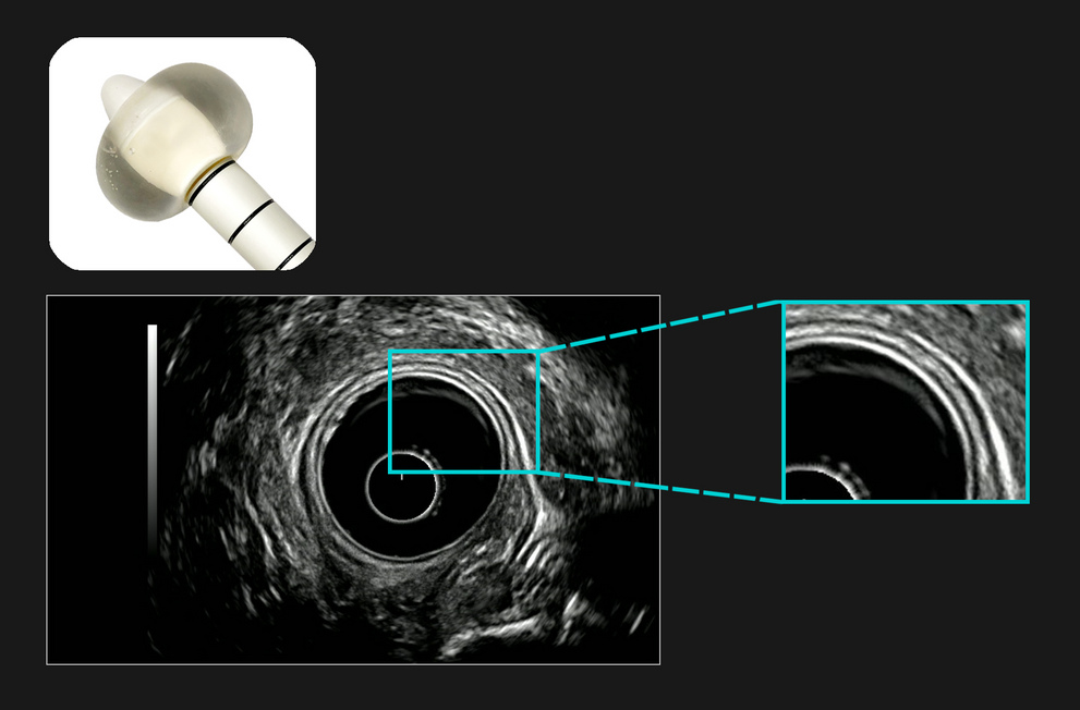 Home - Surgery - SeeLearn Europe